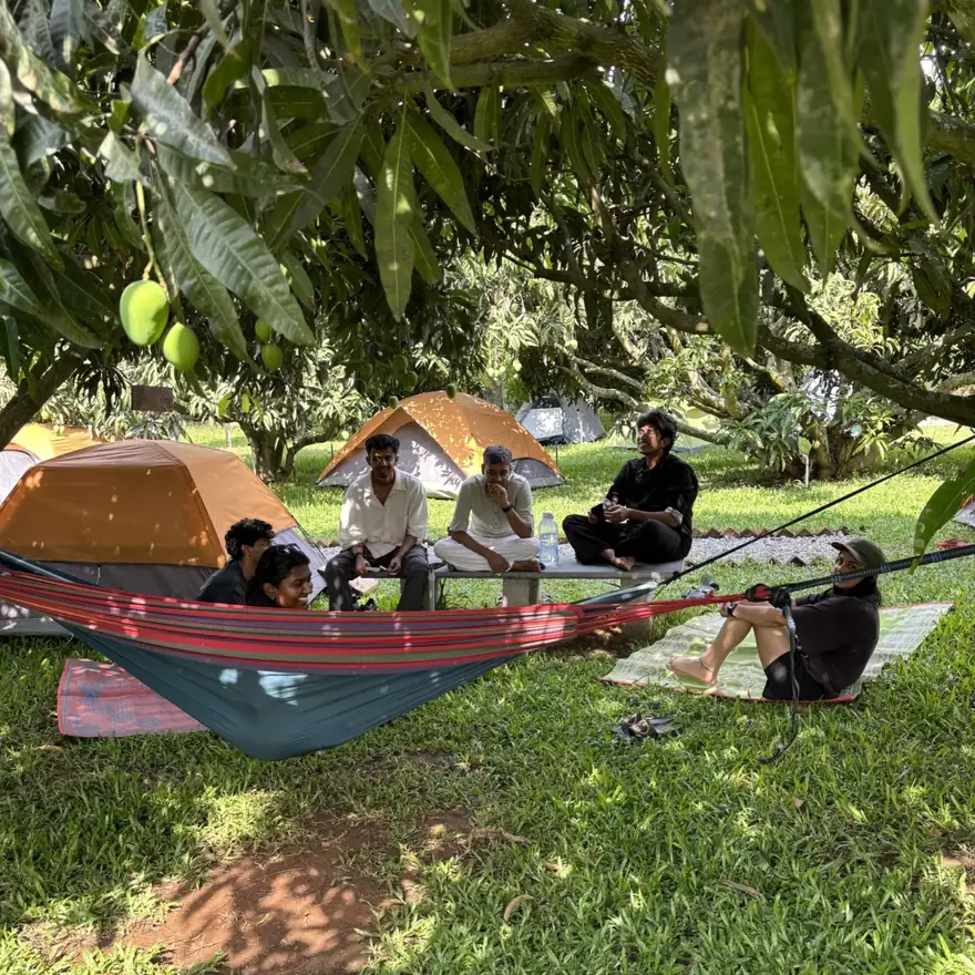Guests lying back on the grass under the mango canopy.