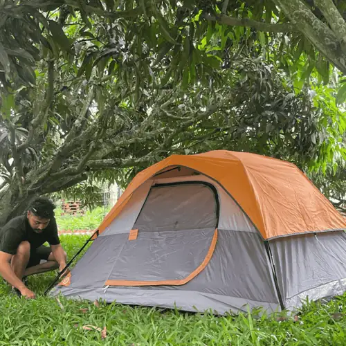 Campers playing with silk flags on the lawn between the mango trees.