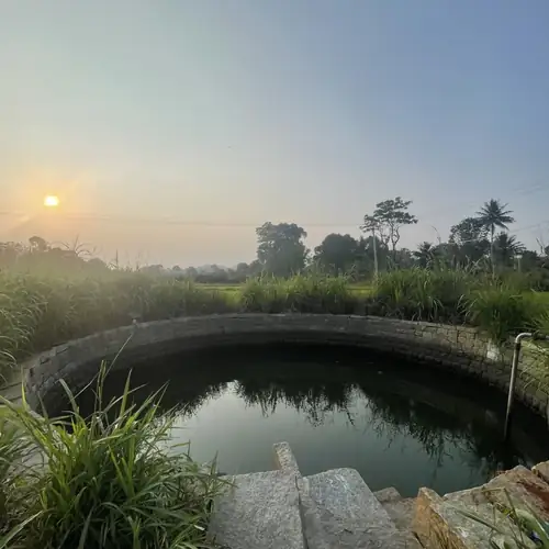 The open stone well at sunrise, edged with tall grass.