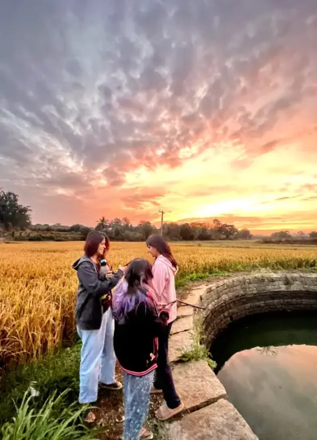 Sunset over the well and the paddy fields at the edge of the farm.