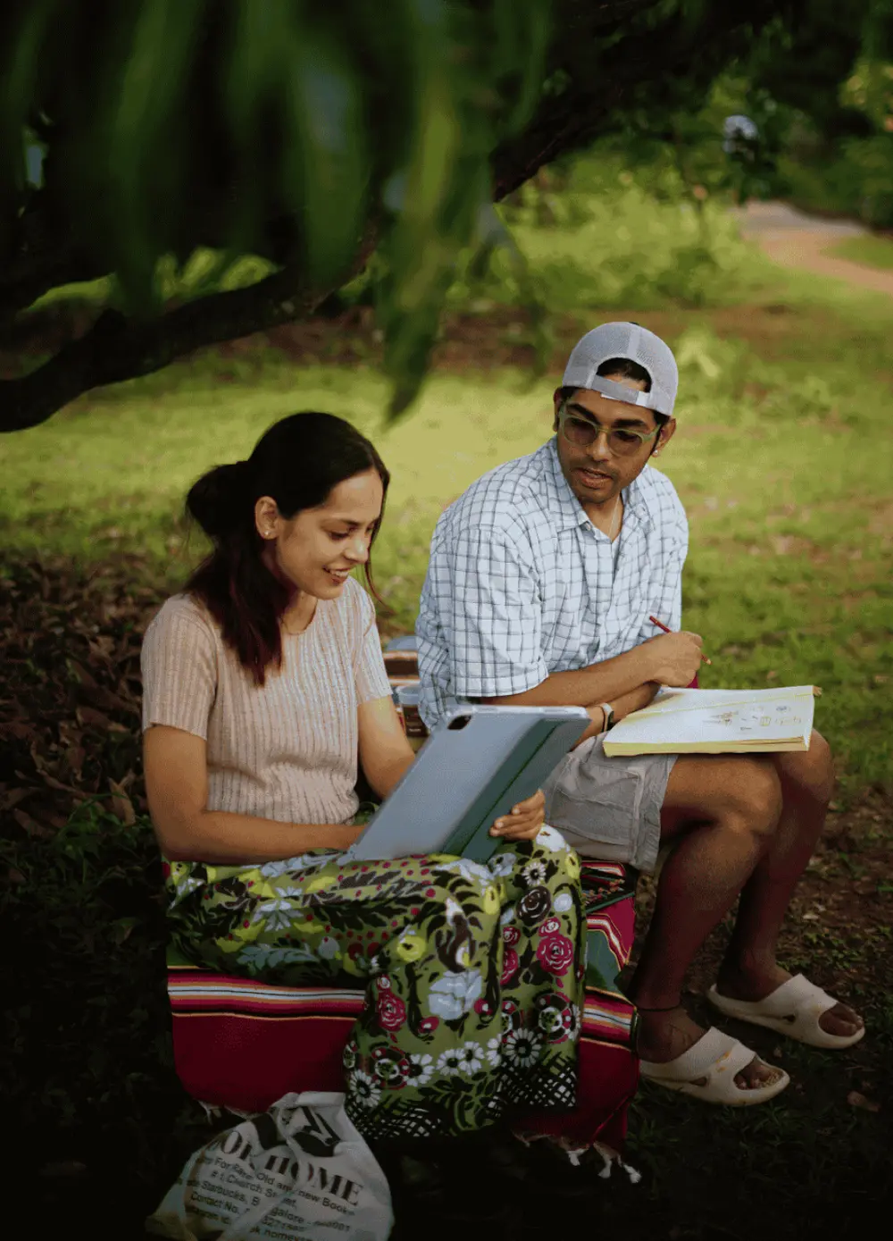 Working from a shaded spot under the mango trees, notebook and tablet out.