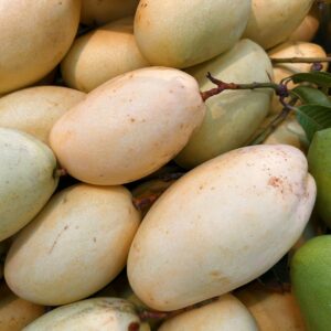 Totapuri Mangoes: The Tangy Karnataka Classic